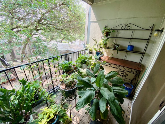 3018 South 1st Street #218 - 1